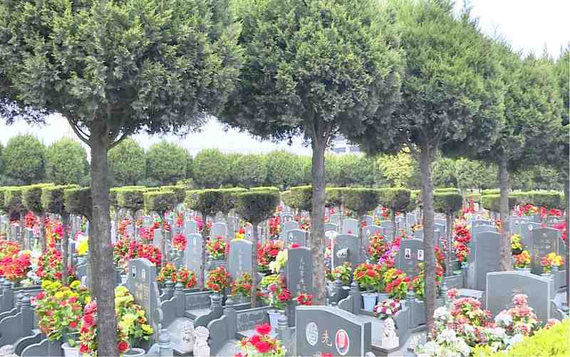 烟火之外的温情:一次关于清明祭扫的认知觉醒 文化旅游