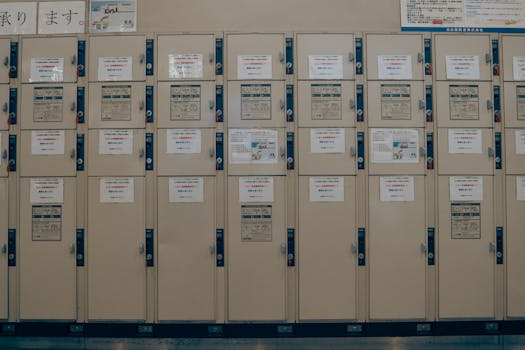 教育部印发关于全面推进健康学校建设的指导意见 让学生“身上有汗、眼里有光”