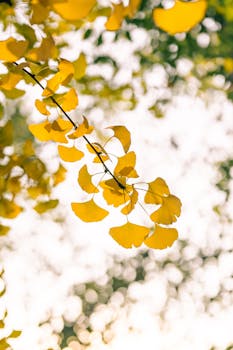 重大变数!特朗普,发出威胁!六大行业,或加征关税! 新闻