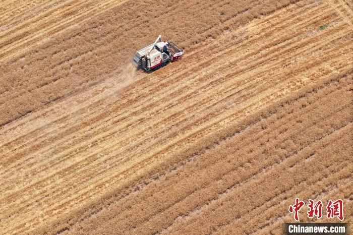 惊蛰春耕之际，习近平关注三农关键领域。 新闻