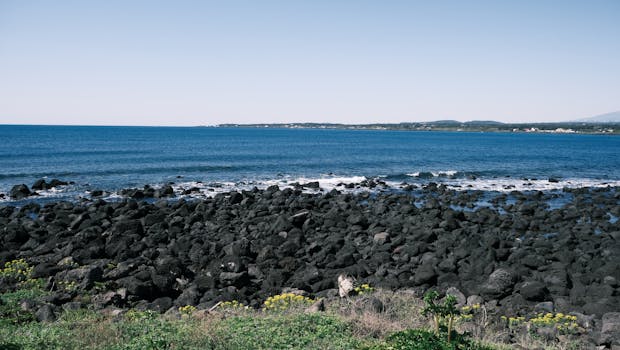  特别国债再度出手，国有大行资本实力显著增强。 股票财经