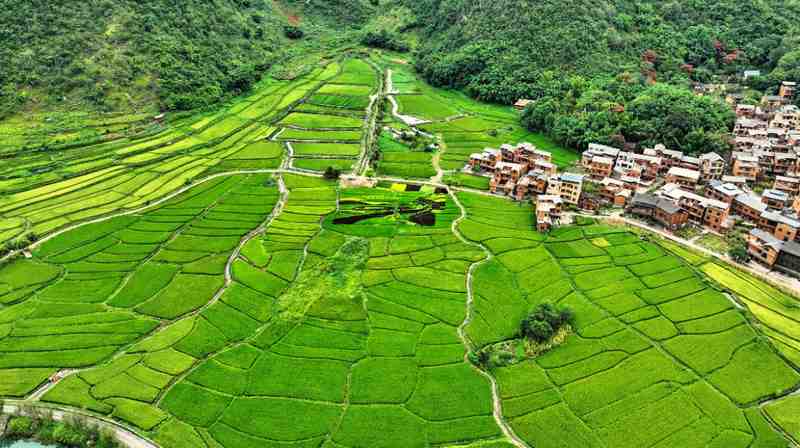  金融活水润泽创新沃土，邮储银行以科技温度，助力高质量发展。 股票财经 金融活水润泽创新沃土，邮储银行以科技温度，助力高质量发展。 股票财经 金融活水润泽创新沃土，邮储银行以科技温度，助力高质量发展。 股票财经