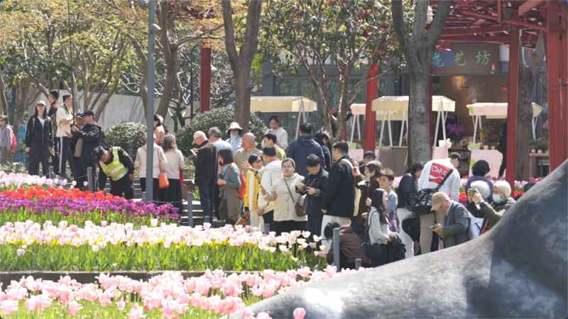  【深度】沉浸式美育的落地样本：静安雕塑公园艺术中心的实践方法论 文化旅游