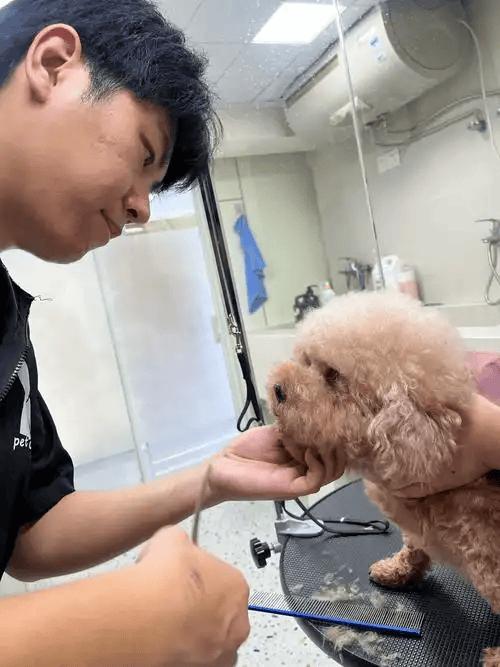  【深度拆解】2万人投票撕开就业真相：计算机神话破灭背后的结构性危机 新闻