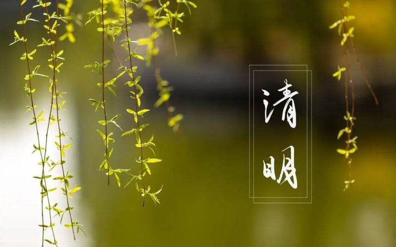 仪式·符号·传承：清明祭扫的教育心理学价值深度剖析