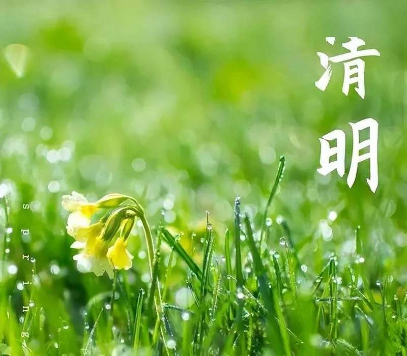  仪式·符号·传承：清明祭扫的教育心理学价值深度剖析 教育招生