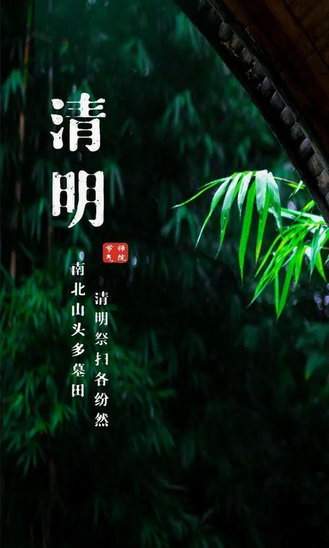  仪式·符号·传承：清明祭扫的教育心理学价值深度剖析 教育招生