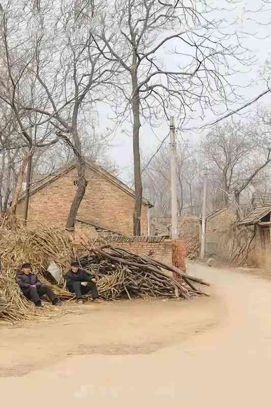  深度剖析：农村婚恋市场背后的结构性筛选机制 情感心理