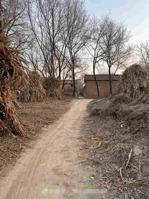  深度剖析：农村婚恋市场背后的结构性筛选机制 情感心理