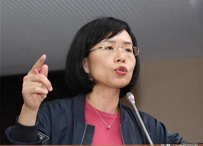  选战数据分析：新北市长1%差距背后的结构性博弈 新闻