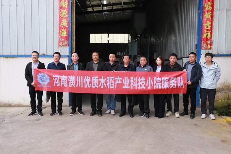  科技小院落地潢川：校企协同如何破解水稻产业技术转化难题 新闻