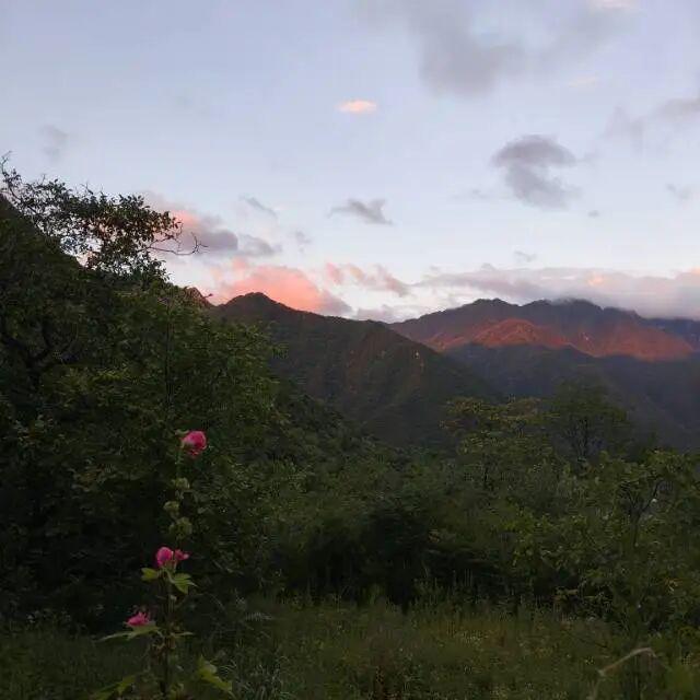  当代青年文学版图：十大实力派作家的思想疆域与文本价值 影视小说