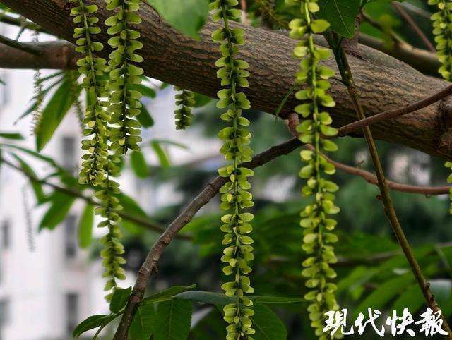 又到“乱穿衣”时节:春季阴雨连绵,我们该如何守护好自己和家人? 新闻 又到“乱穿衣”时节:春季阴雨连绵,我们该如何守护好自己和家人? 新闻
