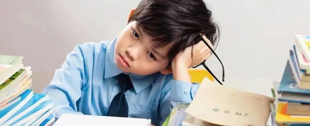 神经科学视角:前额叶发育规律与ADHD鉴别——一份基于执行功能的精准判断框架 健康养生 神经科学视角:前额叶发育规律与ADHD鉴别——一份基于执行功能的精准判断框架 健康养生