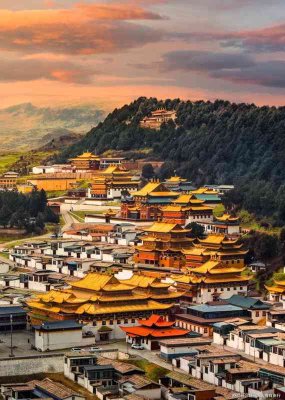  【甘南适老游攻略】一套专为父母设计的慢节奏旅行方案全解 文化旅游 【甘南适老游攻略】一套专为父母设计的慢节奏旅行方案全解 文化旅游