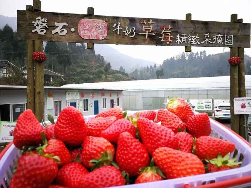  通川春假三日游完全指南：基于场景分类的亲子出行科学规划 文化旅游