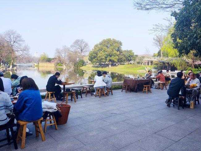 从团茶到散茶：解码金陵瀹饮法背后的千年茶道变革 文化旅游
