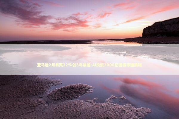 亚马逊2月暴跌12%创3年最差-AI投资2000亿回报率遭质疑 新闻