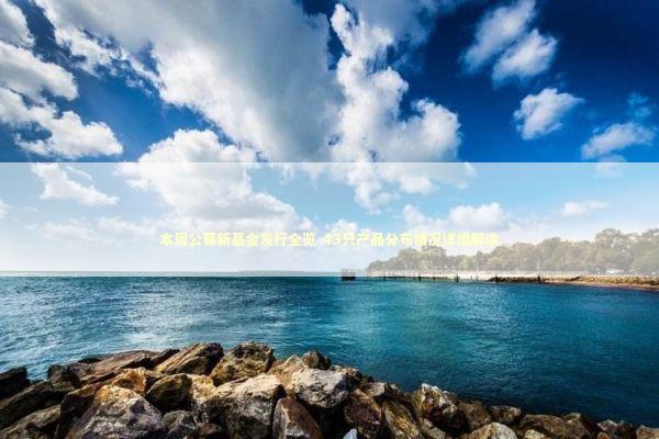 本周公募新基金发行全览 43只产品分布情况详细解读 新闻