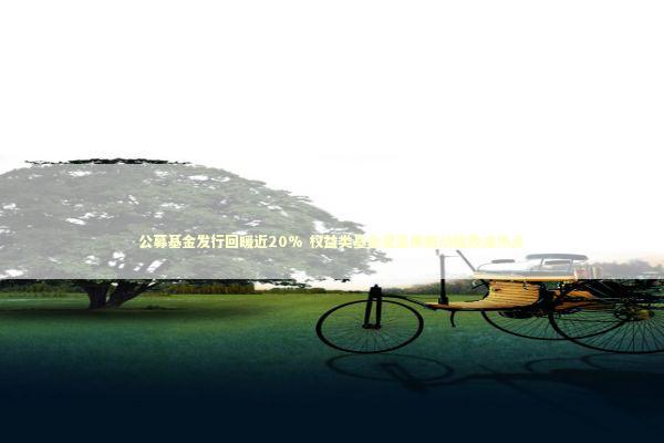 公募基金发行回暖近20% 权益类基金受追捧被动指数成热点 公募基金发行回暖近20% 权益类基金受追捧被动指数成热点 新闻