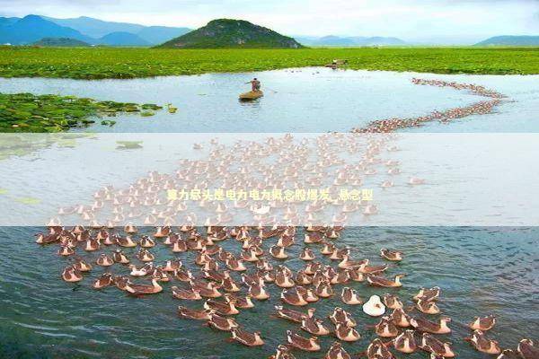 算力尽头是电力电力概念股爆发_悬念型 新闻