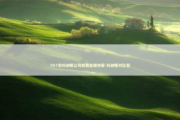 597家科创板公司披露业绩快报-科创板对比型 597家科创板公司披露业绩快报-科创板对比型 新闻