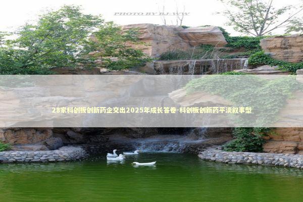 28家科创板创新药企交出2025年成长答卷-科创板创新药平淡叙事型 新闻