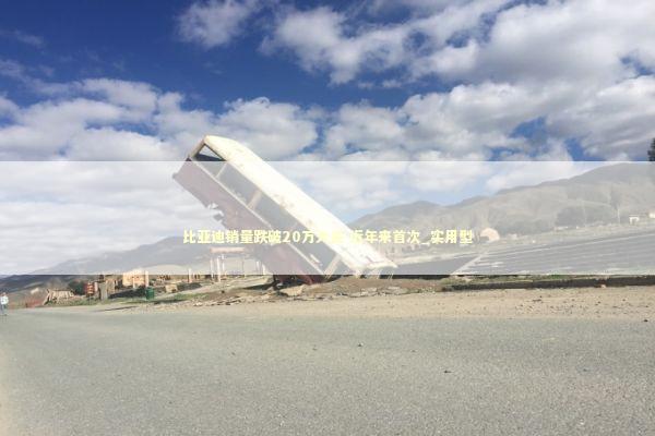 比亚迪销量跌破20万大关 近年来首次_实用型 新闻