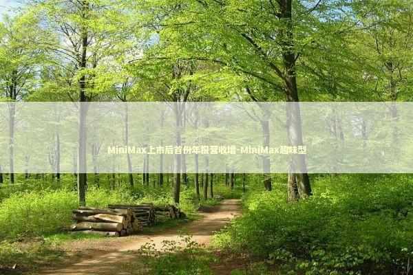 MiniMax上市后首份年报营收增-MiniMax趣味型 新闻