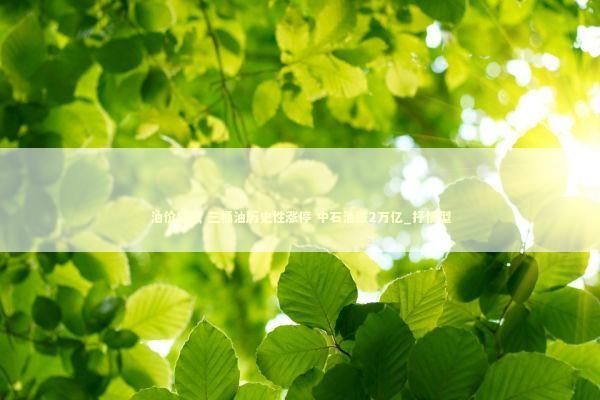 油价狂飙 三桶油历史性涨停 中石油破2万亿_抒情型 油价狂飙 三桶油历史性涨停 中石油破2万亿_抒情型 新闻