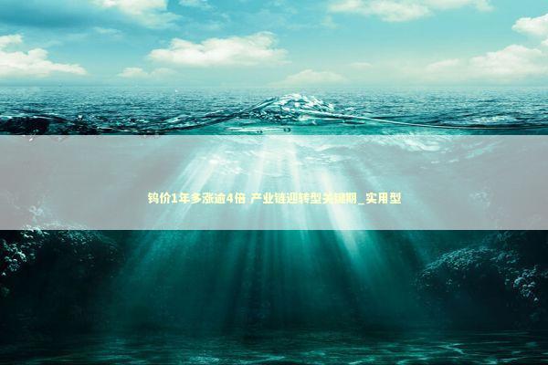 钨价1年多涨逾4倍 产业链迎转型关键期_实用型 新闻