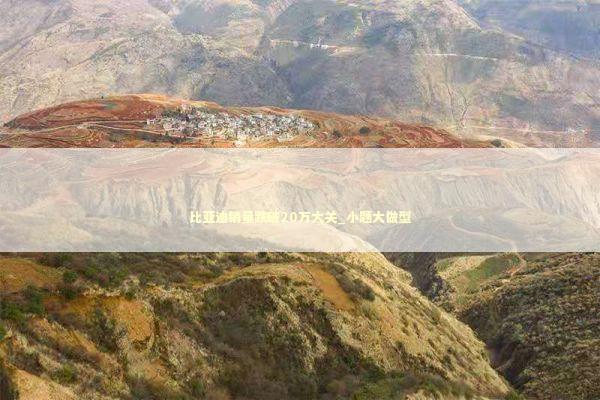 比亚迪销量跌破20万大关_小题大做型 新闻