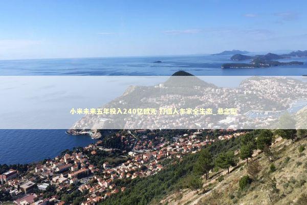 小米未来五年投入240亿欧元 打造人车家全生态_悬念型 新闻