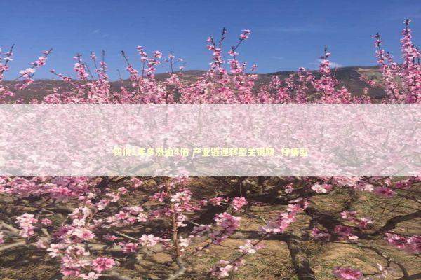 钨价1年多涨逾4倍 产业链迎转型关键期_抒情型 新闻