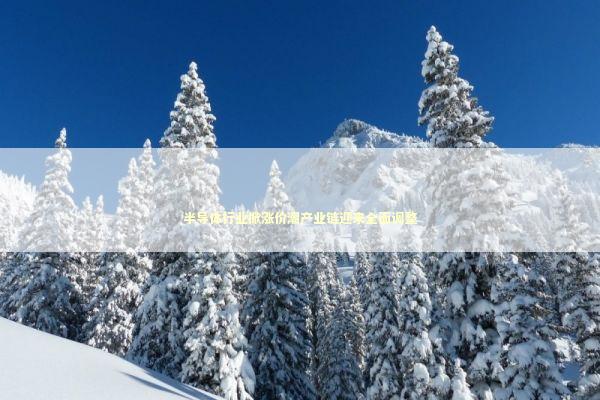 半导体行业掀涨价潮产业链迎来全面调整 新闻