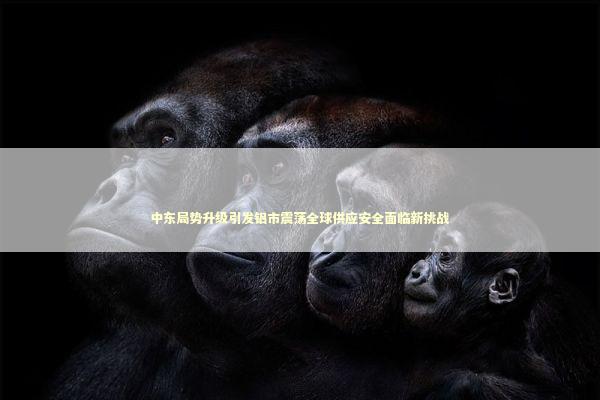 中东局势升级引发铝市震荡全球供应安全面临新挑战 新闻