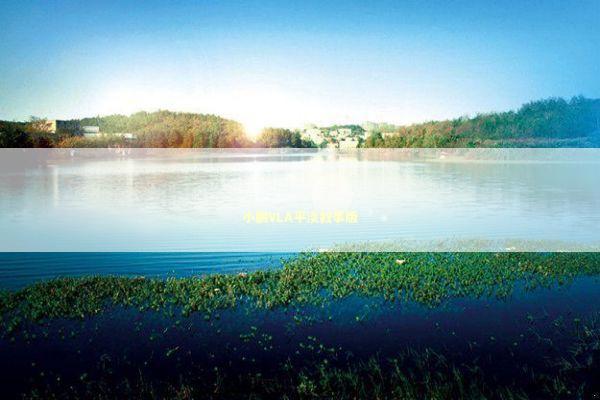 小鹏VLA平淡叙事版 新闻