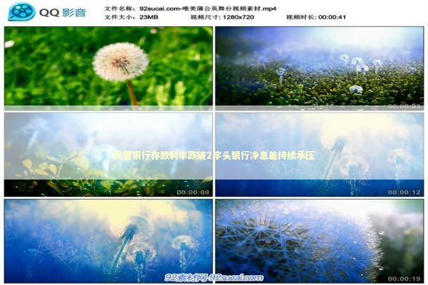 民营银行存款利率跌破2字头银行净息差持续承压 新闻