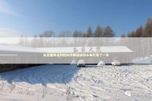 从首富神话到机构齐降目标价小米只用了一年 新闻