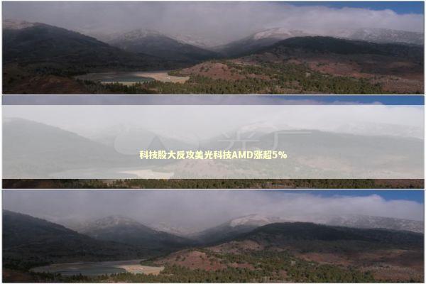 科技股大反攻美光科技AMD涨超5% 新闻