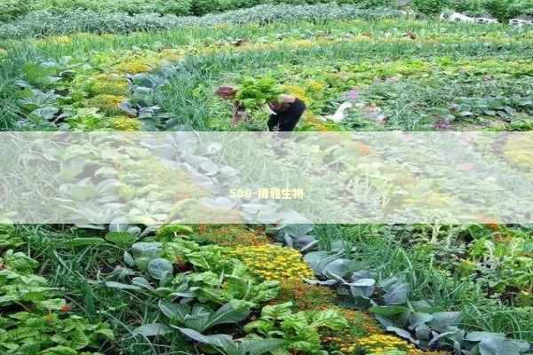 500-博雅生物 新闻