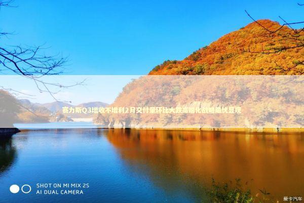 赛力斯Q3增收不增利2月交付量环比大跌高端化战略隐忧显现 新闻