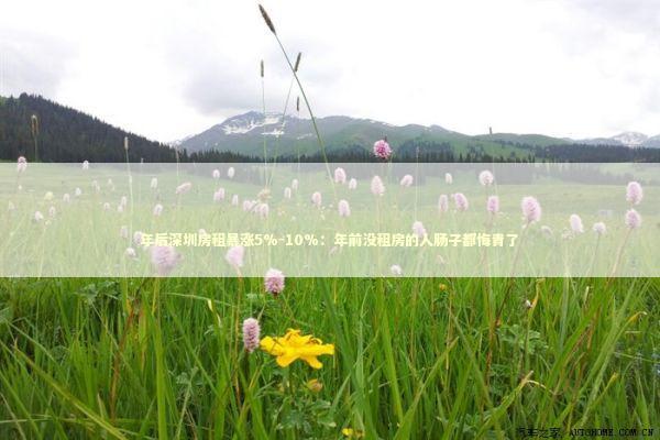 年后深圳房租暴涨5%-10%：年前没租房的人肠子都悔青了 新闻