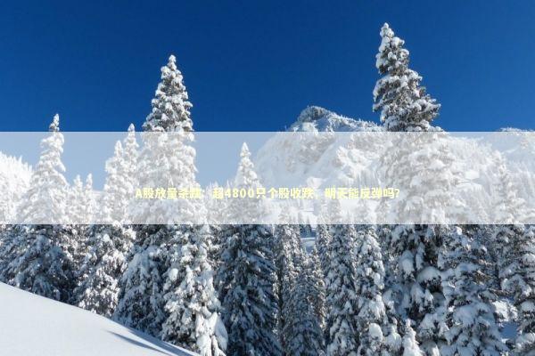 A股放量杀跌：超4800只个股收跌，明天能反弹吗？ 新闻