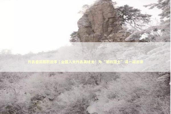 代表委员履职故事｜全国人大代表龚绪龙：为“第四国土”谋一部法律 新闻