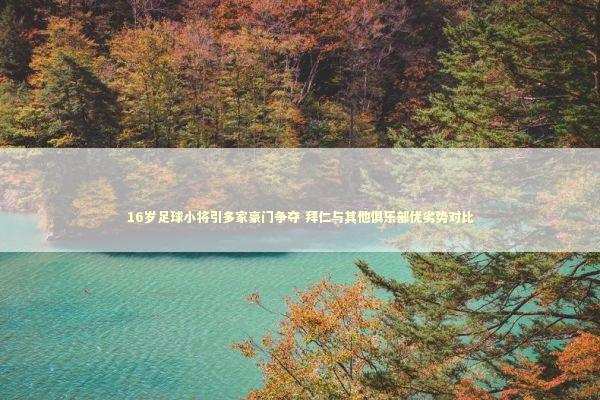 16岁足球小将引多家豪门争夺 拜仁与其他俱乐部优劣势对比 新闻