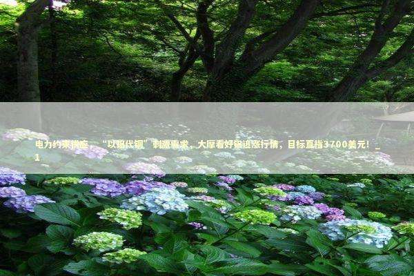 电力约束供应，“以铝代铜”刺激需求，大摩看好铝追涨行情，目标直指3700美元！_1 新闻