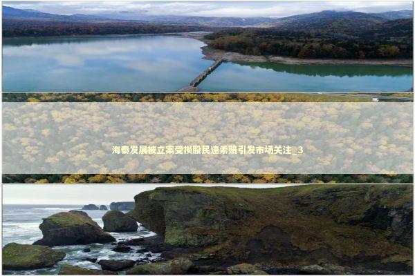 海泰发展被立案受损股民速索赔引发市场关注_3 新闻