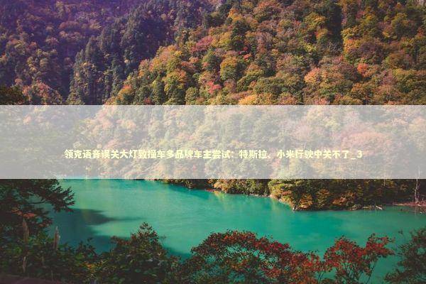 领克语音误关大灯致撞车多品牌车主尝试：特斯拉、小米行驶中关不了_3 新闻