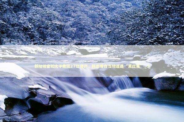 新加坡查扣太子集团27亿资产，陈志曾在当地遭遇“黑吃黑”_5 新闻